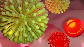 C&acirc;ți rom&acirc;ni mor zilnic de COVID-19 la spitalul din Timișoara unde toți pacienții se vindecau &icirc;n valul unu al pandemiei