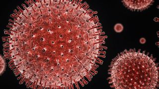 numărul morților covid 19