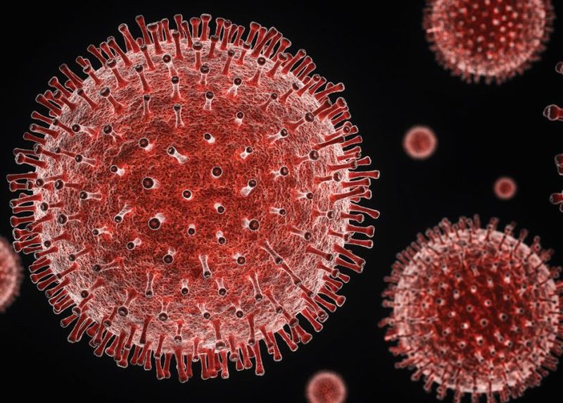 numărul morților covid 19