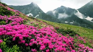 EXCLUSIV VIDEO| Destinația anului 2020 în România: Locul cu peisaje superbe și oameni ospitalieri