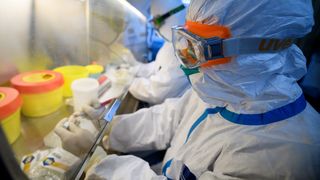 Focar de coronavirus la ferma Herefordshire din Marea Britanie:&nbsp;Alţi 28 de rom&acirc;ni au fost testaţi pozitiv