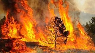 Atenţionare de călătorie