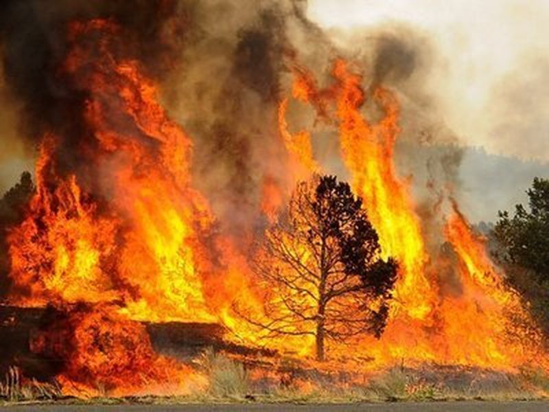 Atenţionare de călătorie