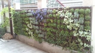 grădină pe verticală