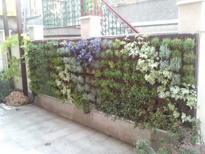 grădină pe verticală