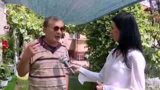 grădină pe verticală