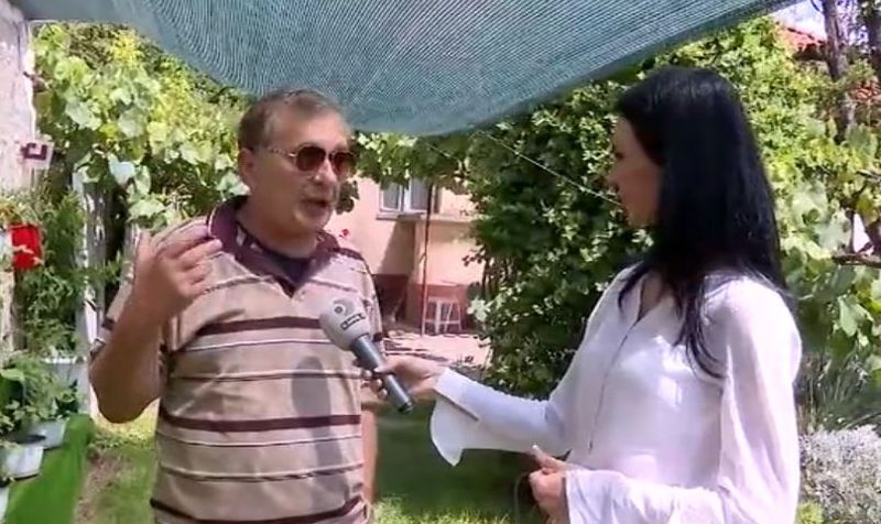 grădină pe verticală