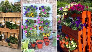 grădină pe verticală