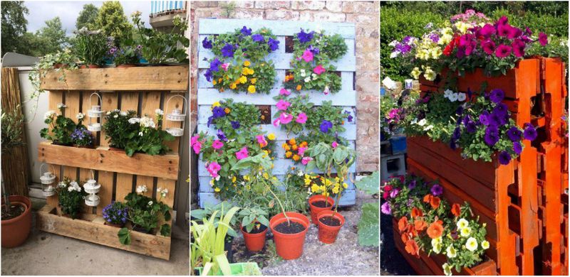 grădină pe verticală