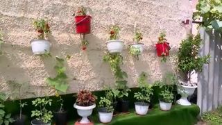 grădină pe verticală