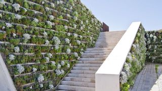 grădină pe verticală