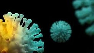 angajat minister coronavirus