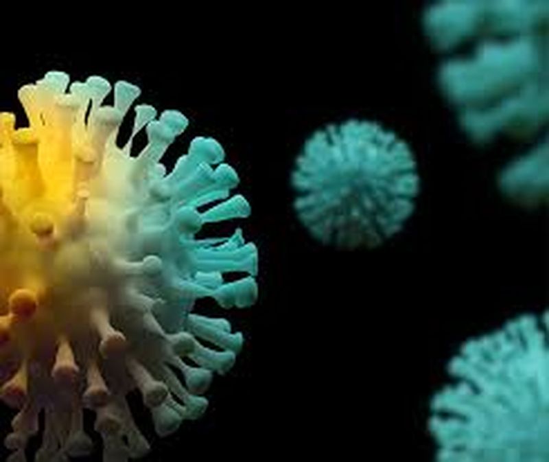 angajat minister coronavirus