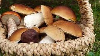 Ciuperci cu maioneză și usturoi - REȚETĂ