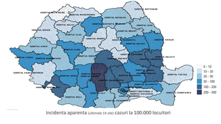 Coronavirus  - statistica Institutul Naţional de Sănătate Publică