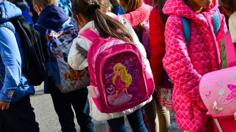 raluca turcan cursuri online 