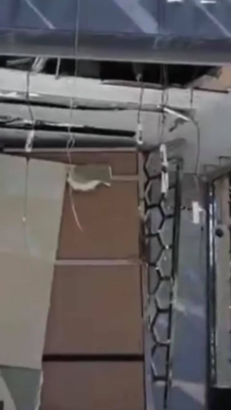 philip plein explozie beirut