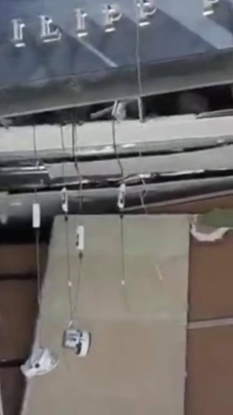 philip plein explozie beirut