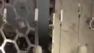 philip plein explozie beirut