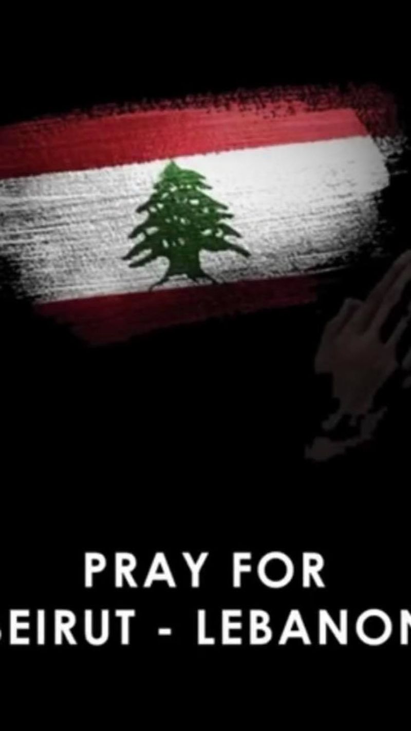 philip plein explozie beirut