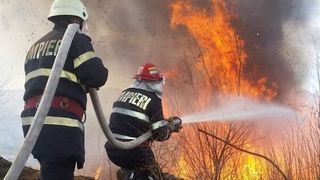 Incendiu puternic lângă București: ard 10 hectare de vegetație. Mesajul primit prin sistemul Ro-Alert 
