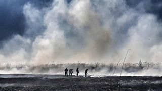 Ministrul Mediului, intervenție de urgență după incendiul din Periș - VIDEO