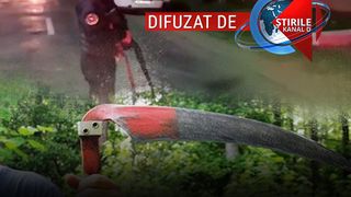 VIDEO | Poliţişti atacaţi şi răniţi cu coasa