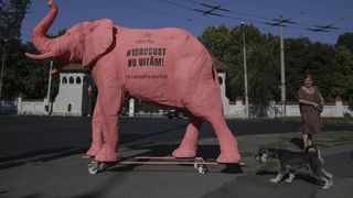 proteste piața victoriei 10 august 2020