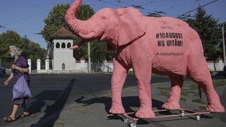 proteste piața victoriei 10 august 2020