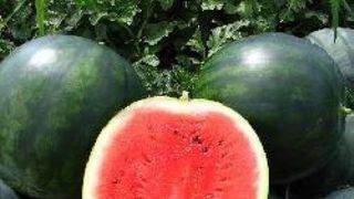 pepene rosu contraindicatii