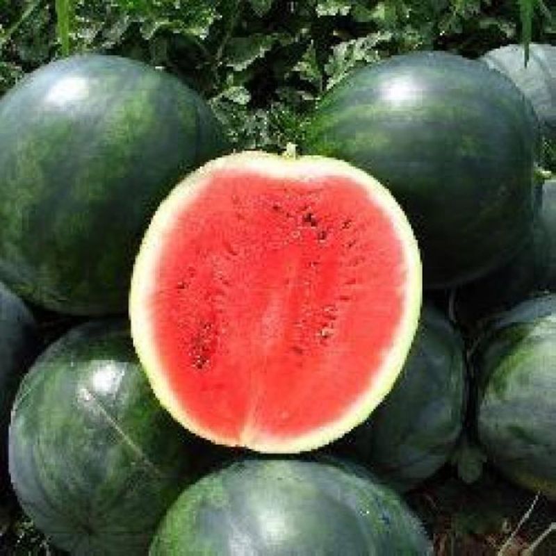 pepene rosu contraindicatii