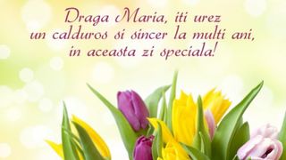 Mesaje de Sfânta Maria 2020. Felicitări şi urări cu La mulţi ani