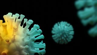 rusia cazuri covid 24h