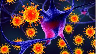 focare noi de coronavirus