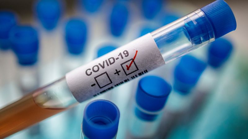 coronavirus 16 august 2020
