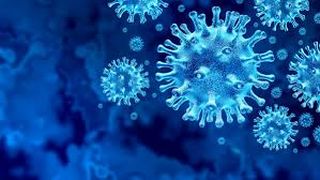 OMS anunţă peste 294.000 de noi cazuri de coronavirus &icirc;n ultimele 24 de ore