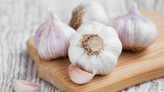 Contraindicaţii usturoi