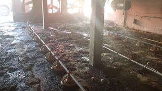 Incendiu devastator la o hală în Buzău. 12.000 de pui au murit intoxicaţi cu fum