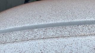 Scenariu desprins parcă din filme. Un oraș a fost acoperit de fragmente fine de ciocolată