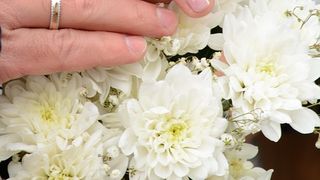 Felicitări pentru mire și mireasă. Ce să le transmiți dacă nu ajungi la nuntă