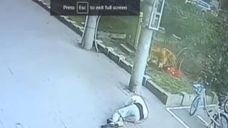 Întâmplare mai puțin obișnuită. Un bărbat a ajuns la spital după ce o pisică i-a căzut în cap de la un balcon