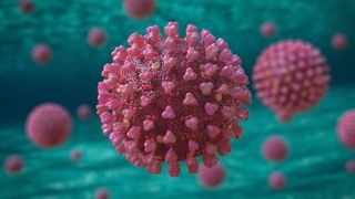 germania și italia coronavirus