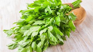 Avertismentul medicilor: NU mai puneţi leuştean &icirc;n ciorbă dacă suferiţi de această boală!