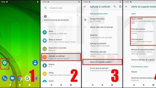 Cum dezactivezi sistemul RO-Alert de pe telefoanele iOS și Android