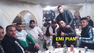 reacție emilia șercan interlopi duduianu