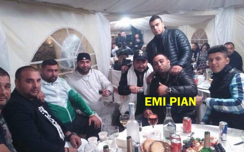 reacție emilia șercan interlopi duduianu