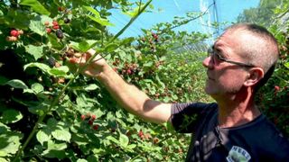 Emisiunea Asta-i Rom&acirc;nia