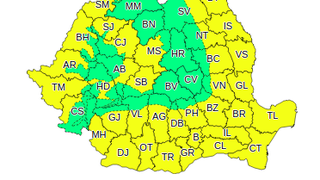 Cod galben de canicula