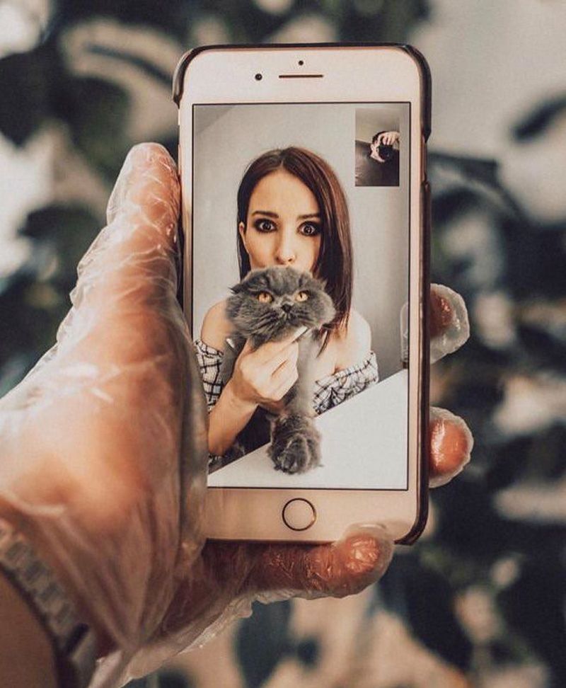 animal de companie Deea Codrea