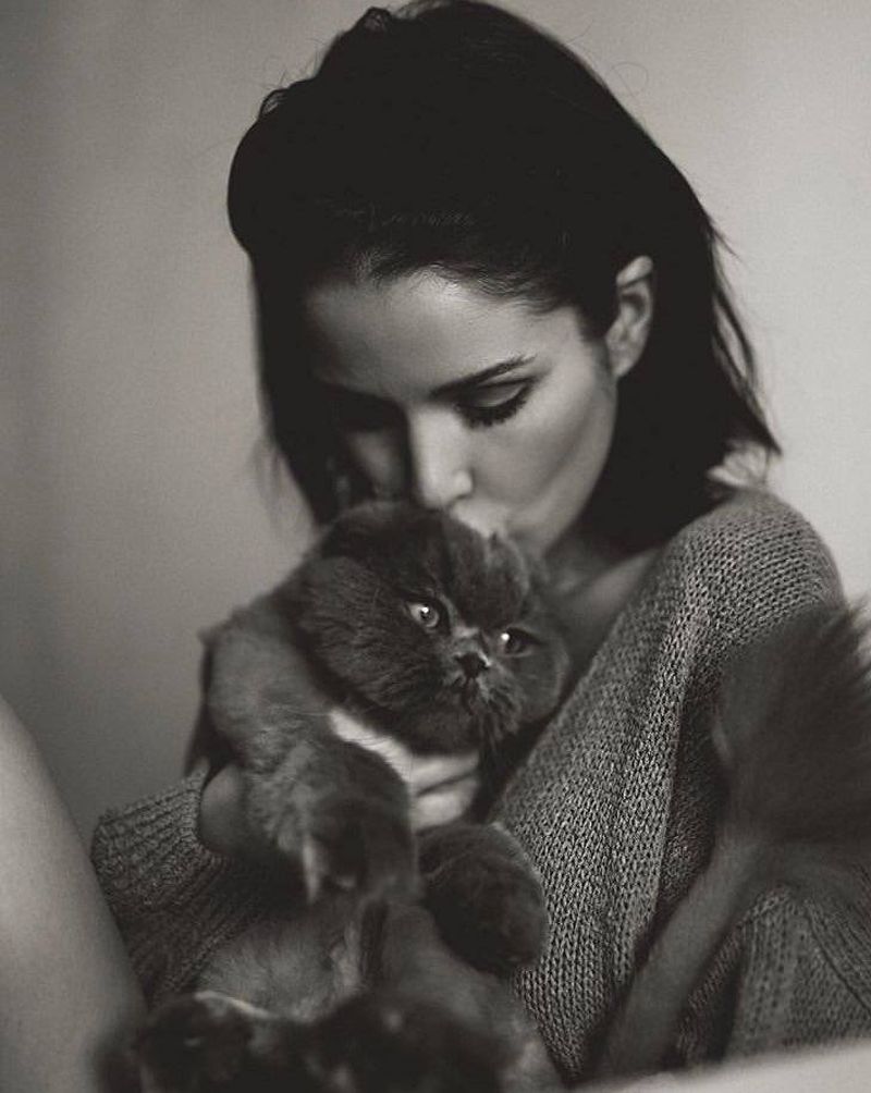 animal de companie Deea Codrea